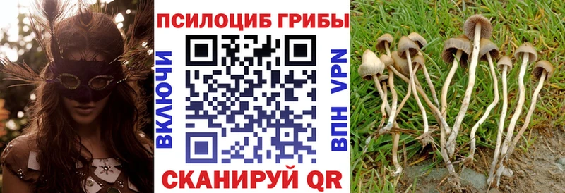 как найти закладки  Артёмовский  гидра tor  Псилоцибиновые грибы Psilocybe 